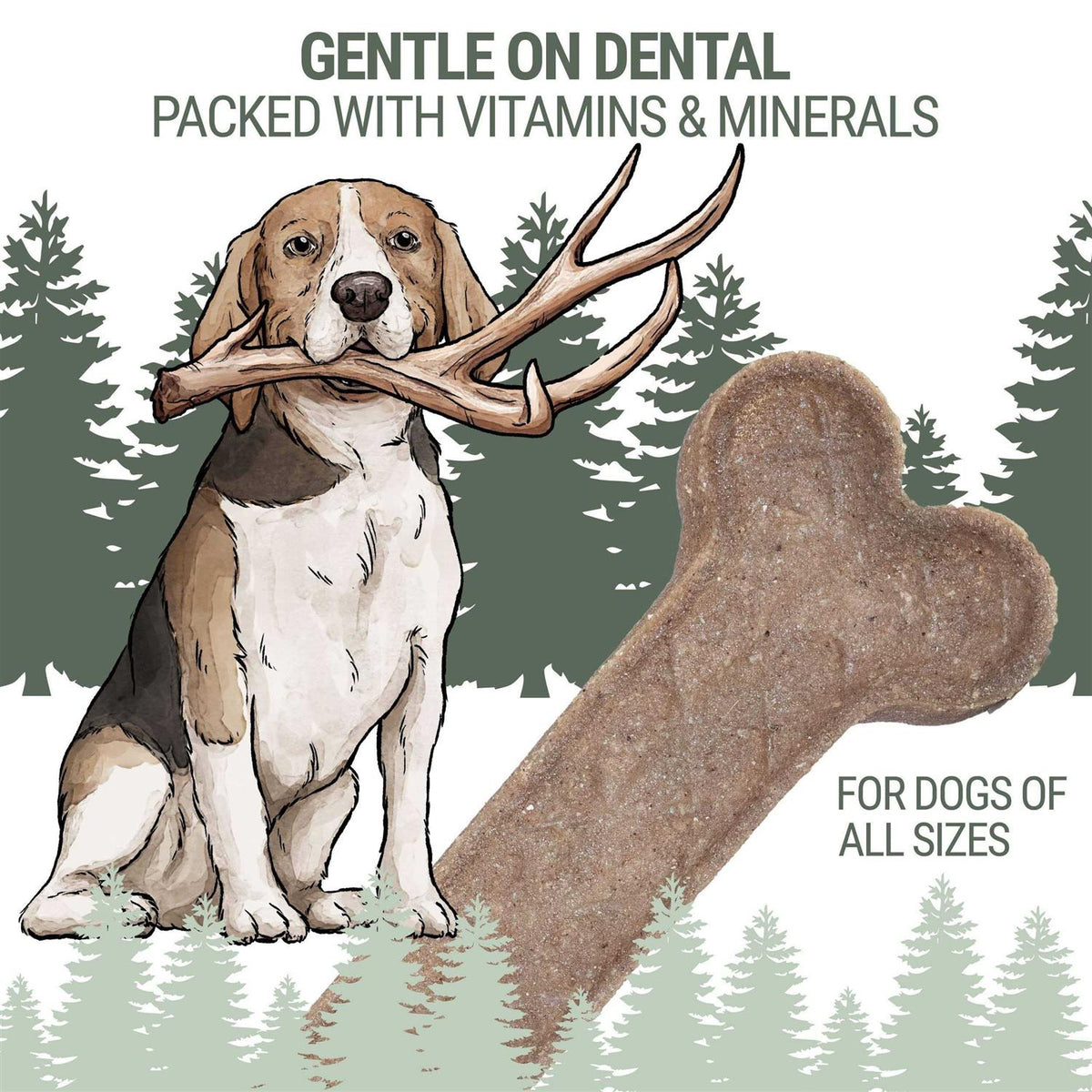 Antler Bone Dog Chew A2405